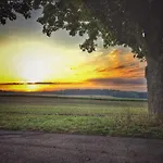 Schenks Landgasthof